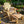 Outdoor Patio Footrest