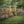 Outdoor Wooden Arbor