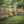 Outdoor Wooden Arbor