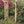 Outdoor Wooden Arbor
