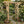 Outdoor Wooden Arbor