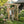 Outdoor Wooden Arbor
