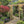Outdoor Wooden Arbor