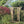 Outdoor Wooden Arbor