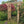 Outdoor Wooden Arbor