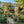 Outdoor Wooden Arbor