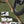 Camo 2-Bike Hitch E-bike Rack with Ramp