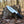 Outlaws D2 Hunting Knife Bull Horn Handle