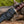 Paragon Damascus Bowie Knife with Exotic Rosewood Handle