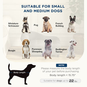 PawHut Gray Pet Sofa Dog Couch for Small to Medium Dogs