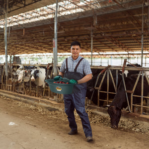 Little Giant 26 Quart Plastic Hanging Corner Livestock Feeder Bucket, Green
