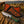 Handmade Ranch Knife | Rasp Steel | Pinecone Handle