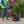 5.5 HP Honda Vibratory Plate Compactor for Soil Compaction Tamper 3 Year Warranty - TRAPSKI
