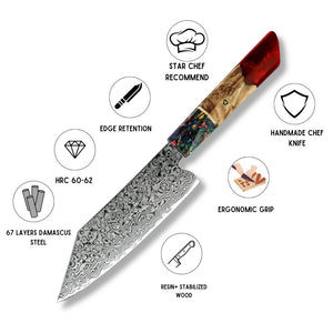 Pristine VG10 Chef Knife 10.5" with Exotic Olive Wood & Resin Handle