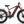 GoldenR Pro Ebike