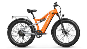 Labrador Pro Ebike
