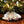 ProductWorks Pre-Lit Snow Cover Blanket 8 Function Holiday Decoration, 48