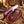 Purple Cholla Cactus Cowboy Bull Cutter – Rasp Steel & Skull pancake Sheath