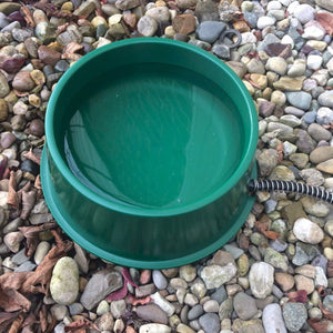 Farm Innovators QT-1 1 Quart Electric Heated Pet Water Bowl, 25 Watt, Green