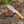 Quantum Camp Knife with Olive Wood Handle