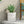 MGO Planter