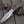 Radiant Damascus Hunting Knife with Rosewood Handle