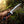 Rambo V Last Blood Replica Bowie Knife – 14