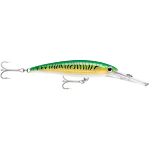 Rapala X-Rap Magnum 30 Gold Green Mackerel - TRAPSKI