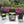 4 PC Rattan Patio Furniture Set with Cushions - Black and Green