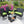 4 PC Rattan Patio Furniture Set with Cushions - Black and Green