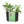 Smart Pot 30 Gallon Fabric Dirt Planter Flower Pot Soft Sided Container, Black