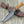 Reign Damascus Bowie Knife with Exotic Leopard Wood Handle