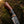 Copper Damascus Bowie Knife Handmade Copper Guard