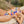 Endless Summer Onepiece Swim Suit