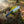 Ridge Runner Hunting Knife D2 Steel Micarta Handle