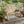 Rocking Outdoor Wooden Bench