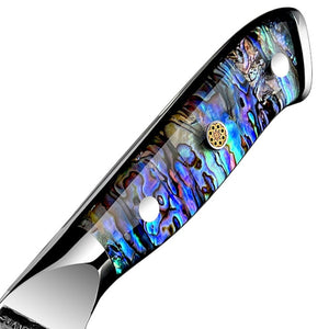 Ronin VG10 9" Chef Knife Damascus Steel Knife with Abalone Shell Handle
