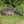 Rugged Ranch CatchMor Live Animal Multi Catch 2 Pack Trap, 1 Large & 1 Small