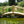 Rustic Wooden Garden Bridge