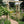 Outdoor Wooden Arbor