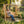 Rustic Log Swing Set