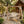 Rustic Log Swing Set