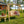 Rustic Log Swing Set
