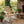 Rustic Outdoor Log Rocking Chair