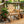Rustic Outdoor Log Rocking Chair