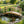 Rustic Wooden Garden Bridge