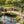 Rustic Wooden Garden Bridge