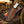 Buckaroo Knife | Rasp Steel with Camel Bone Handle