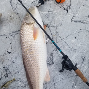 Salt Series Fishing Rods - TRAPSKI