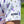 Purple Drank Polo